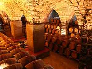 Vineyard Tours and Wine Tasting