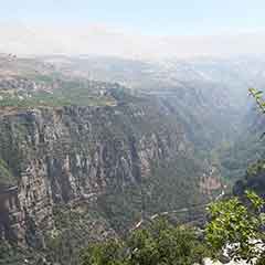 Tour from Beirut to Qadisha valley, Cedars & Baalbek